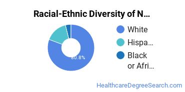 Racial-ethnic diversity of Nursing majors at Pennsylvania State University-World Campus