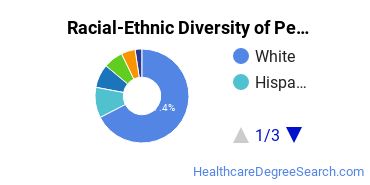 Racial-Ethnic Diversity of Pennsylvania State University-World Campus Undergraduate Students
