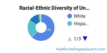 Racial-Ethnic Diversity of Provo College-Idaho Falls Campus Undergraduate Students