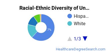 Racial-Ethnic Diversity of San Joaquin Valley College-Hesperia Undergraduate Students
