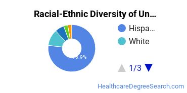 Racial-Ethnic Diversity of San Joaquin Valley College-Rancho Mirage Undergraduate Students