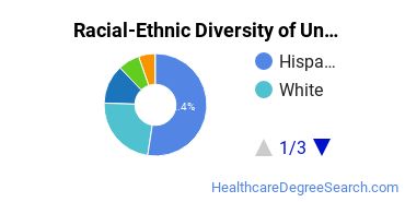 Racial-Ethnic Diversity of San Joaquin Valley College-Temecula Undergraduate Students