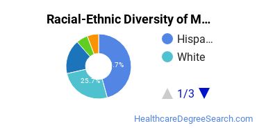 Racial-ethnic diversity of Medical Office Assistant/Specialist majors at San Joaquin Valley College-Visalia