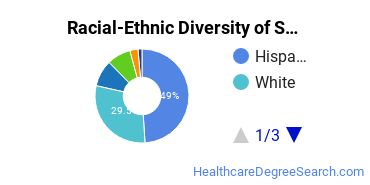 Racial-Ethnic Diversity of SCC Undergraduate Students