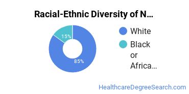 Racial-ethnic diversity of Nursing majors at South College