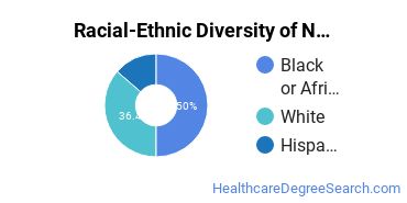 Racial-ethnic diversity of Nursing majors at South University-High Point