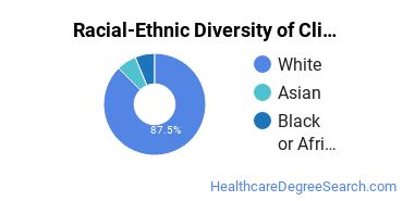 Racial-ethnic diversity of Clinical/Medical Laboratory Science majors at Southeast Community College Area