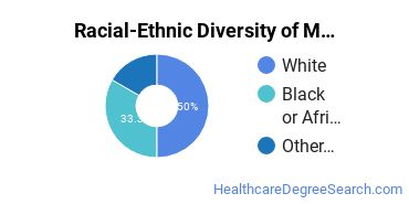 Racial-ethnic diversity of Massage Therapy majors at Southwestern Community College