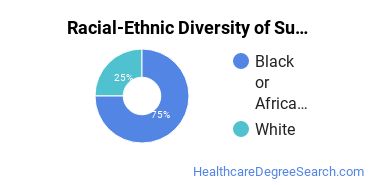 Racial-ethnic diversity of Surgical Technology majors at SOWELA Technical Community College