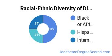 Racial-ethnic diversity of Dietetics & Nutrition Services majors at Texas Southern University