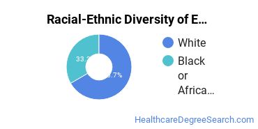 Racial-ethnic diversity of Emergency Medical Technology majors at Trident Technical College