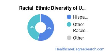 Racial-Ethnic Diversity of AGMU Undergraduate Students