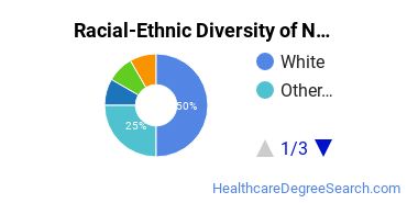 Racial-ethnic diversity of Nursing Administration majors at University of Oklahoma-Health Sciences Center