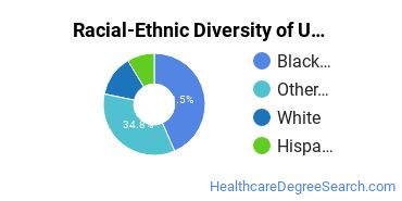 Racial-Ethnic Diversity of UOPX - Virginia Undergraduate Students