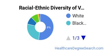 Racial-Ethnic Diversity of Virginia Wesleyan University Undergraduate Students