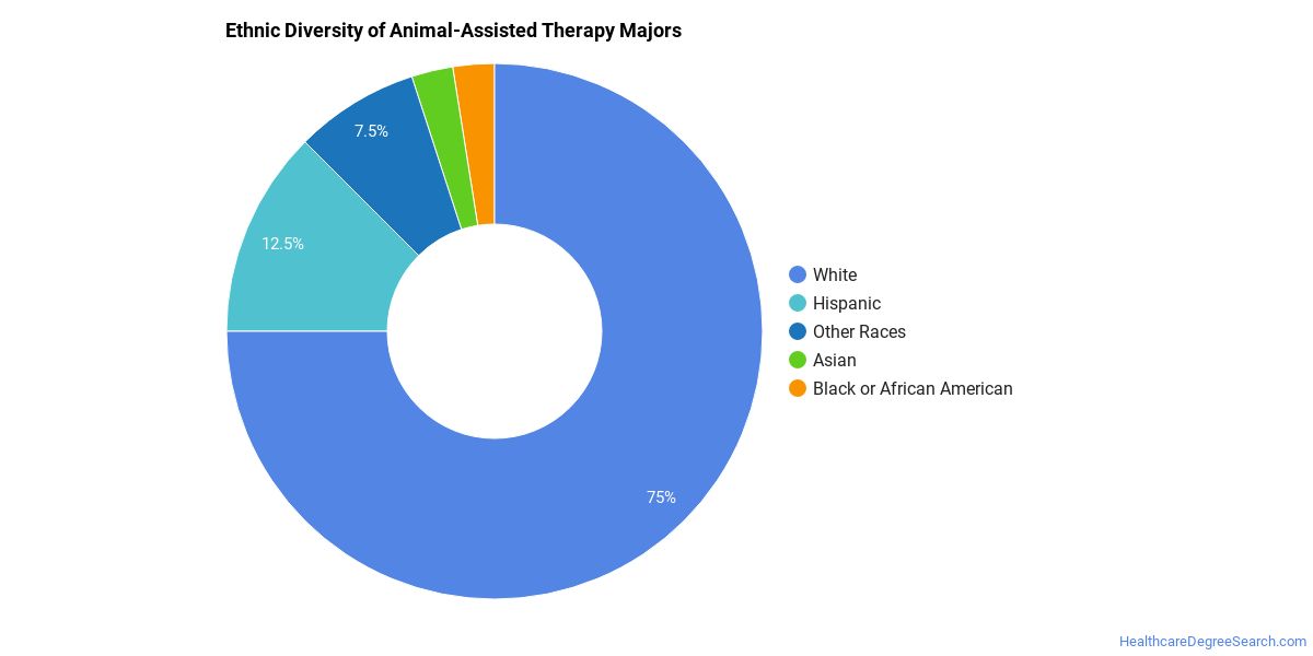 Animal-Assisted Therapy - Concentration - Healthcare Degree Search