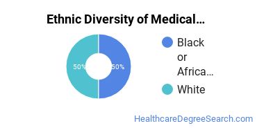 Medical Staff Services Technician Majors in KS Ethnic Diversity Statistics