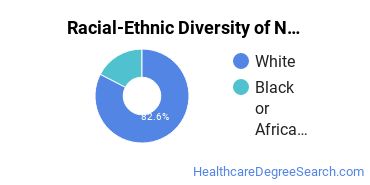 Racial-Ethnic Diversity of Nursing Education Students with Bachelor's Degrees