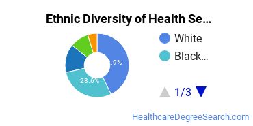 Health Services Administration Majors in MN Ethnic Diversity Statistics